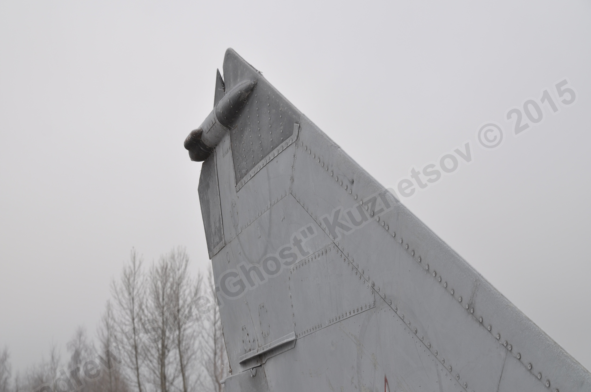 MiG-25PU_wing_0276.jpg