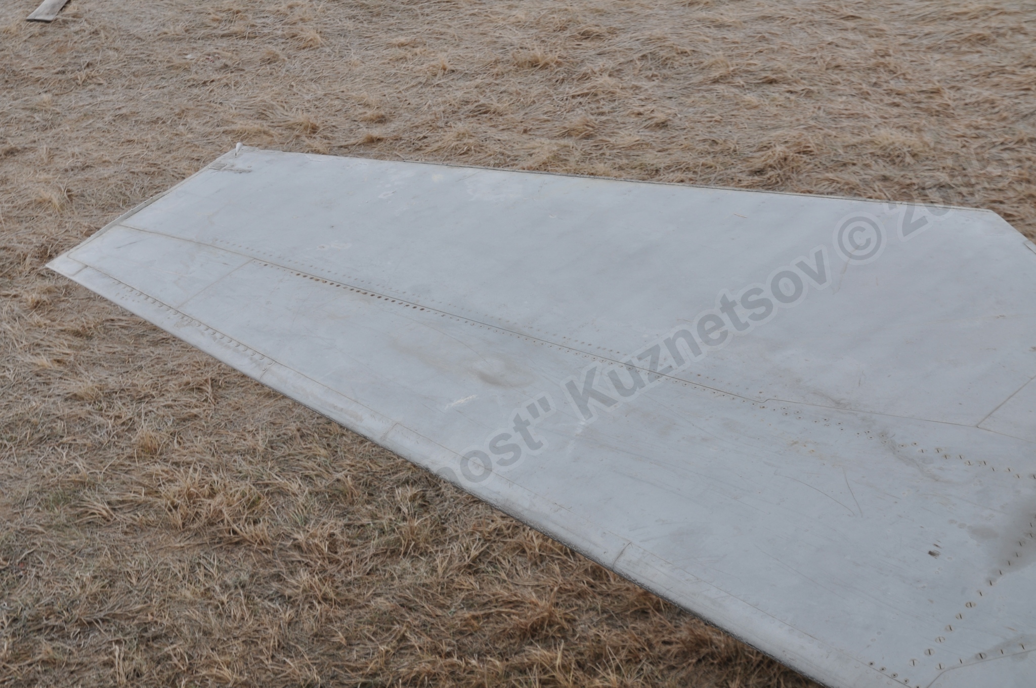 MiG-25PU_wing_0278.jpg