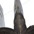 MiG-25PU_fuselage_0206.jpg