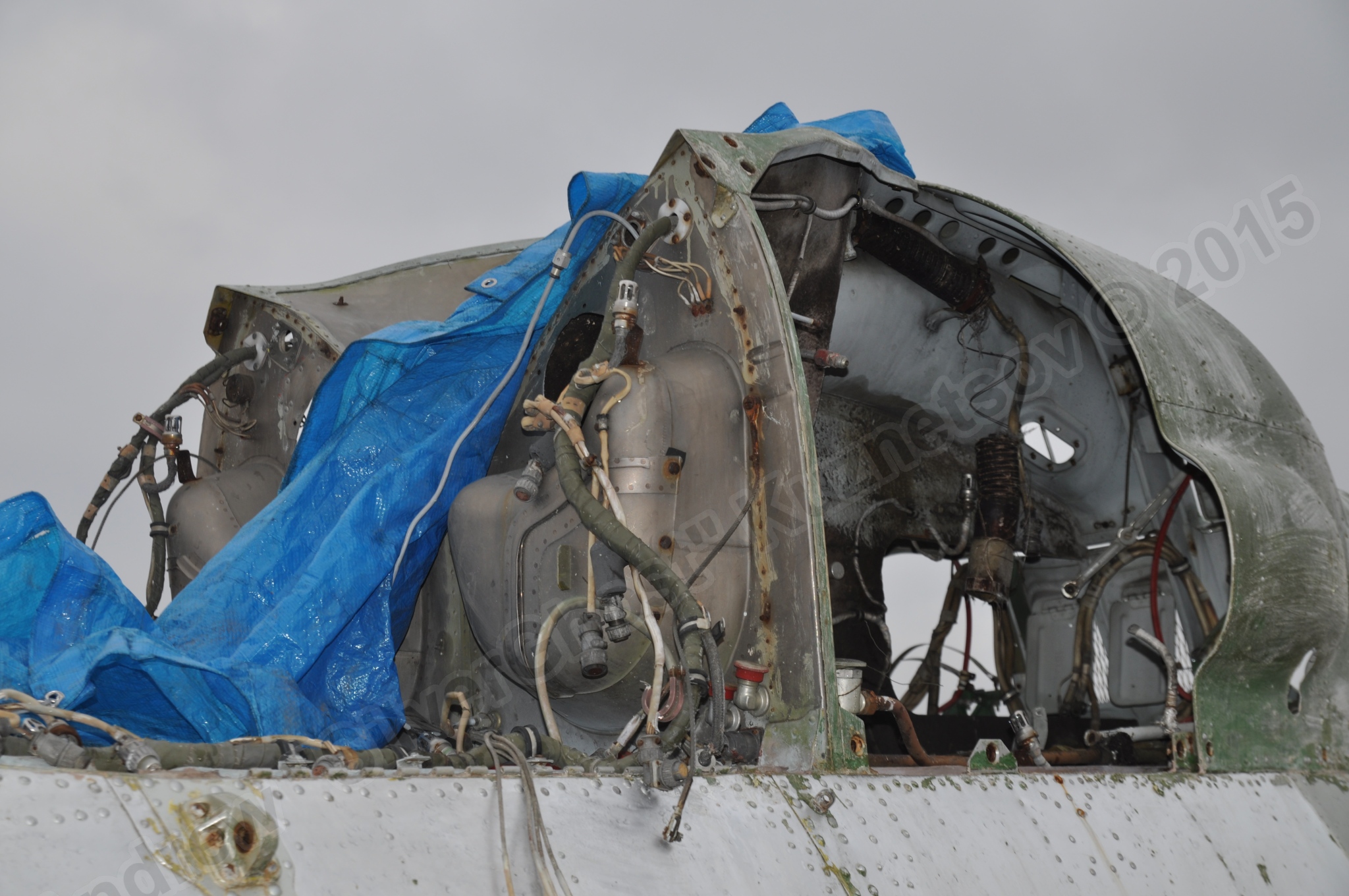 Mi-2_0028.jpg