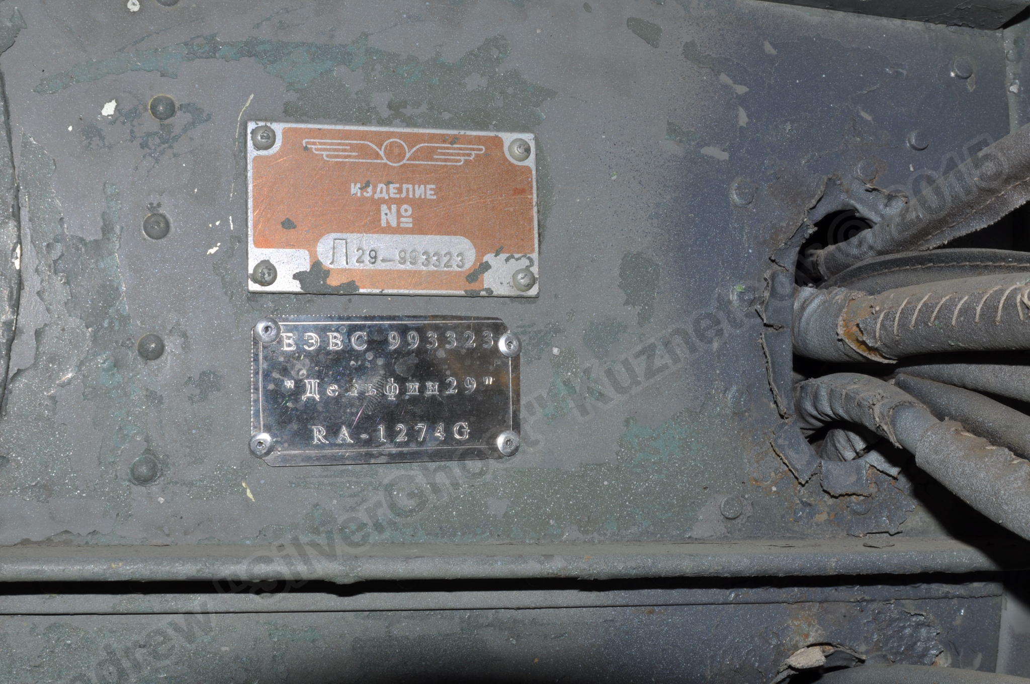 Aero_L-29_RA-1274G_0199.jpg