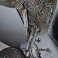 Aero_L-29_RA-1274G_0203.jpg
