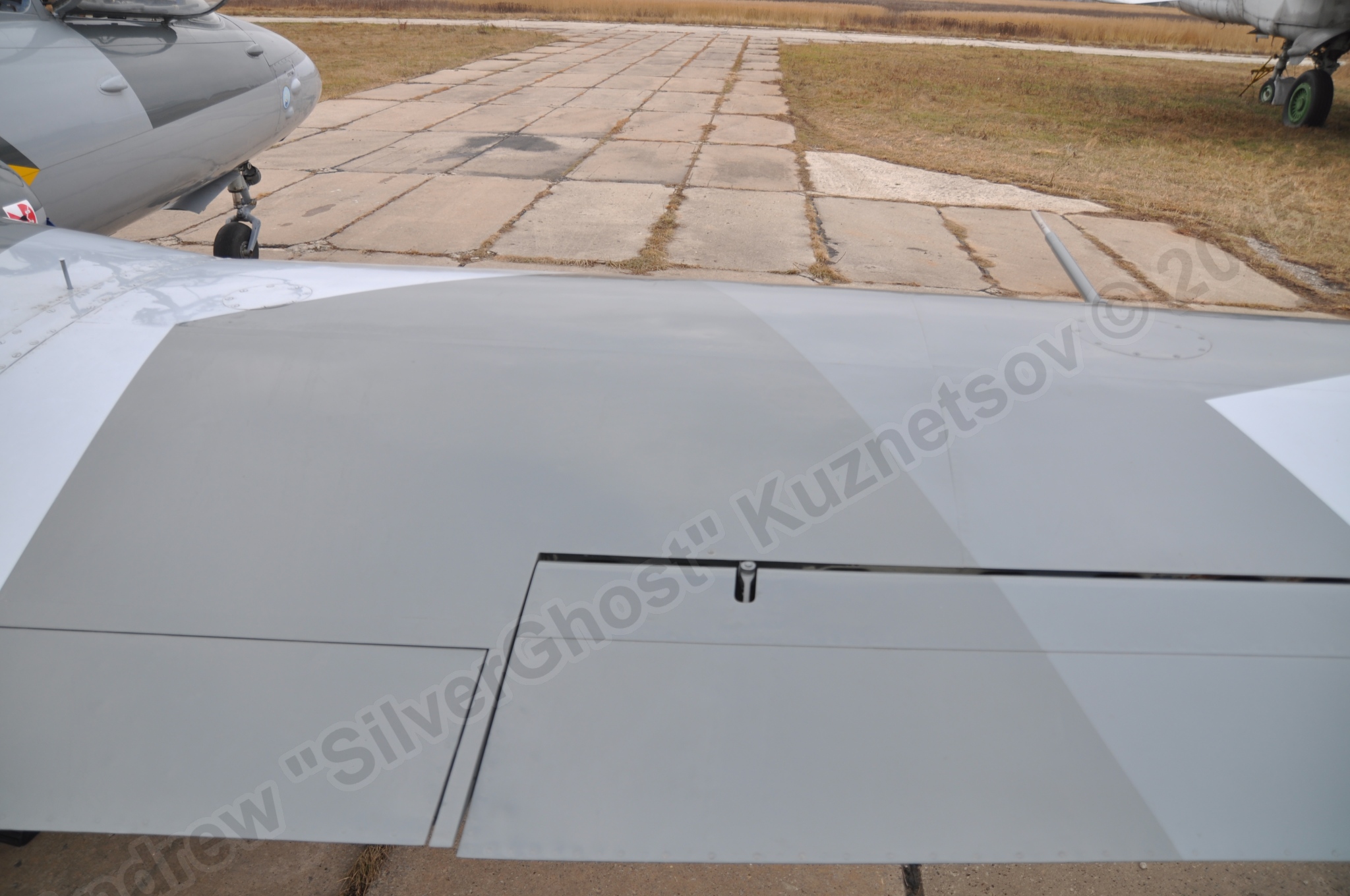 Aero_L-29_RA-1274G_0243.jpg