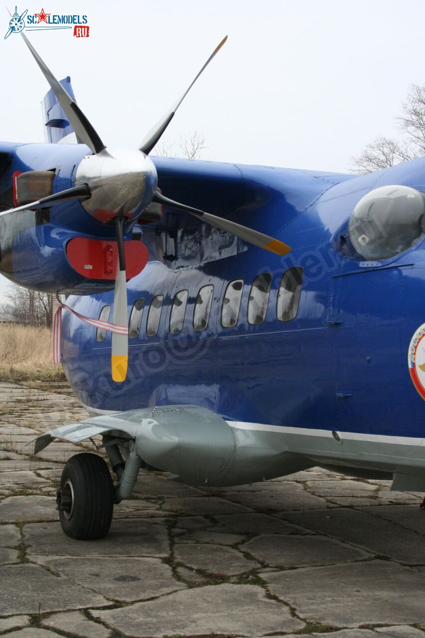 81.jpg