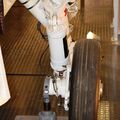 Mitsubishi_F-1_0103.jpg