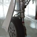 T-1A_0174.jpg