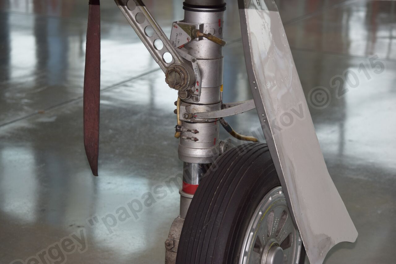 T-1A_0176.jpg