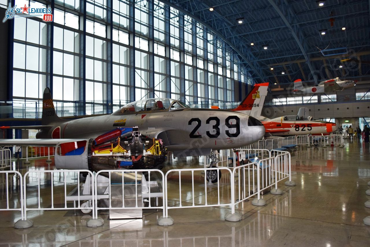 T-33_0013.jpg