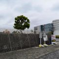 Hamamatsu_Air_Park_0012.jpg