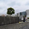 Hamamatsu_Air_Park_0012.jpg