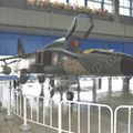 Hamamatsu_Air_Park_0048.jpg