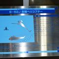 Hamamatsu_Air_Park_0104.jpg