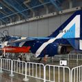 Hamamatsu_Air_Park_0153.jpg