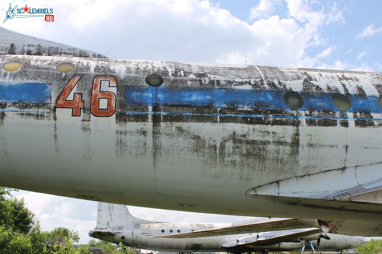 74.jpg