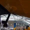 tiger_moth_0020.jpg