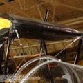 tiger_moth_0045.jpg