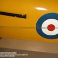 tiger_moth_0052.jpg