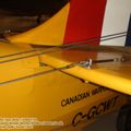 tiger_moth_0054.jpg