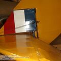 tiger_moth_0060.jpg
