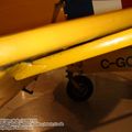 tiger_moth_0072.jpg