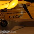 tiger_moth_0073.jpg
