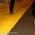 tiger_moth_0078.jpg