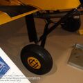 tiger_moth_0079.jpg