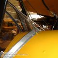 tiger_moth_0093.jpg