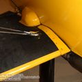 tiger_moth_0095.jpg