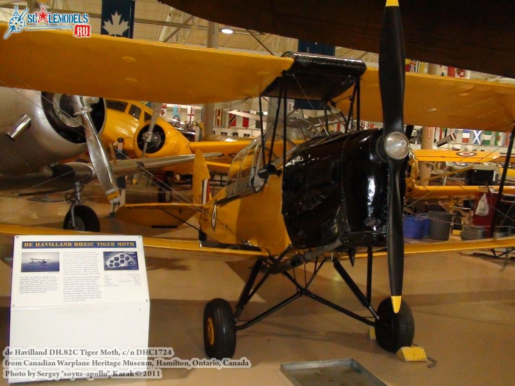 tiger_moth_0000.jpg