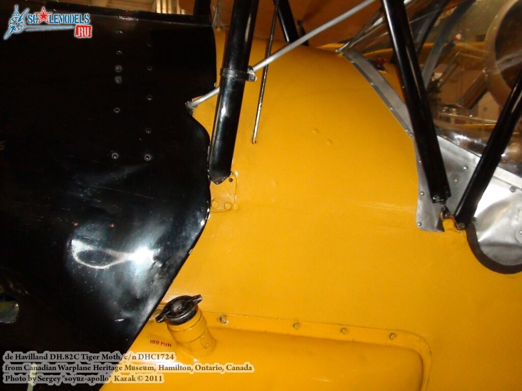 tiger_moth_0016.jpg