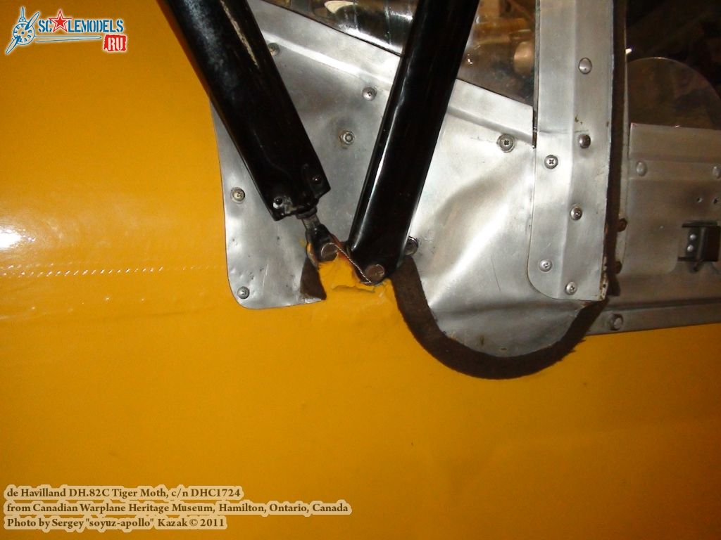 tiger_moth_0017.jpg