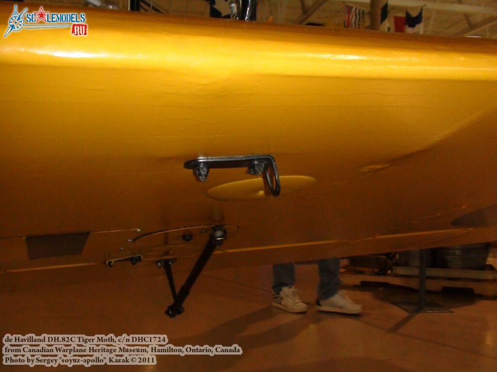 tiger_moth_0032.jpg