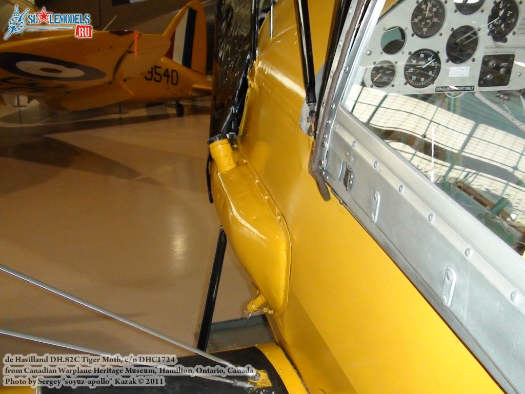 tiger_moth_0051.jpg