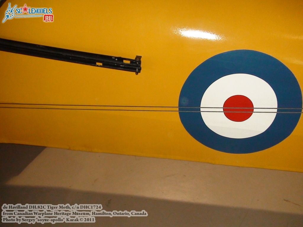 tiger_moth_0052.jpg