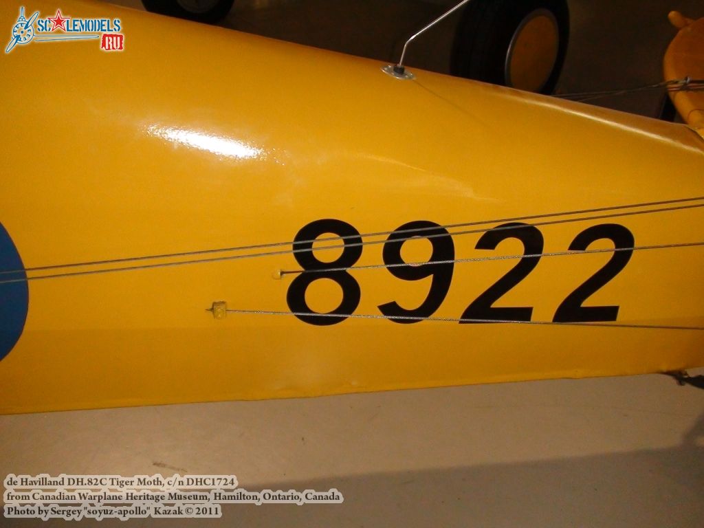 tiger_moth_0053.jpg