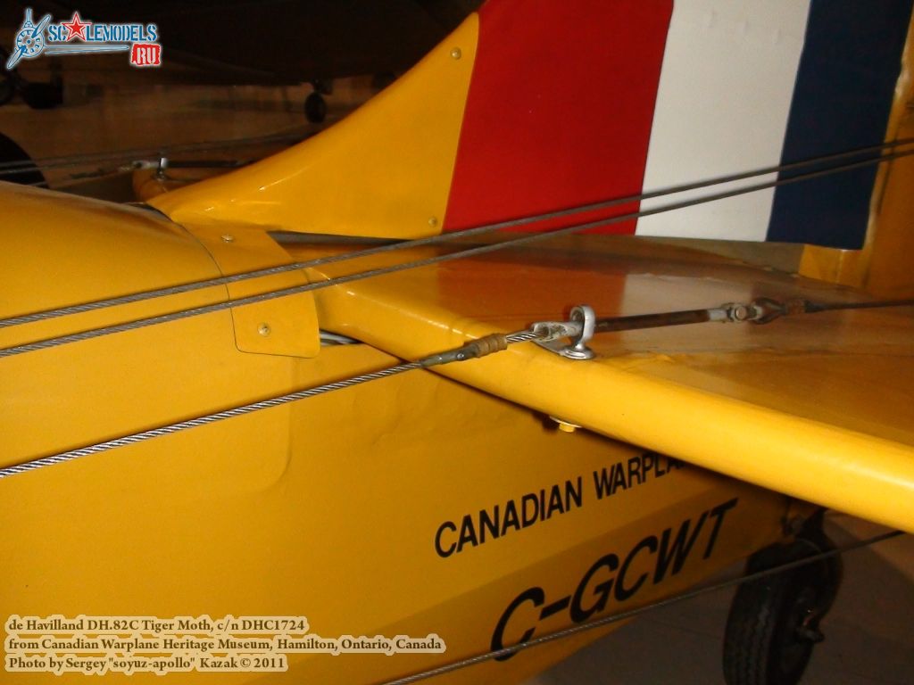 tiger_moth_0054.jpg