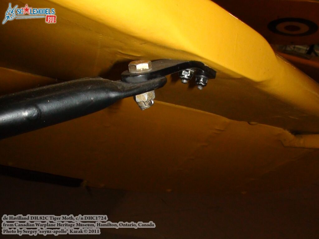 tiger_moth_0056.jpg