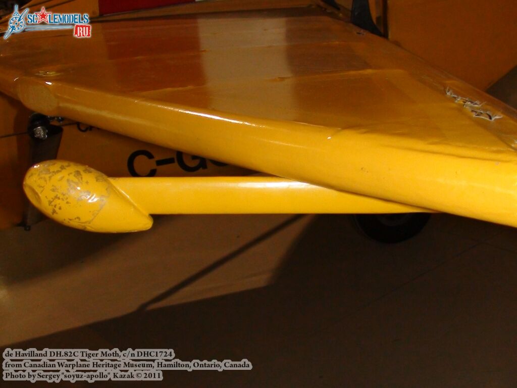tiger_moth_0059.jpg