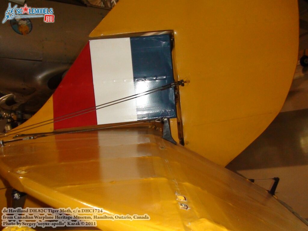 tiger_moth_0060.jpg