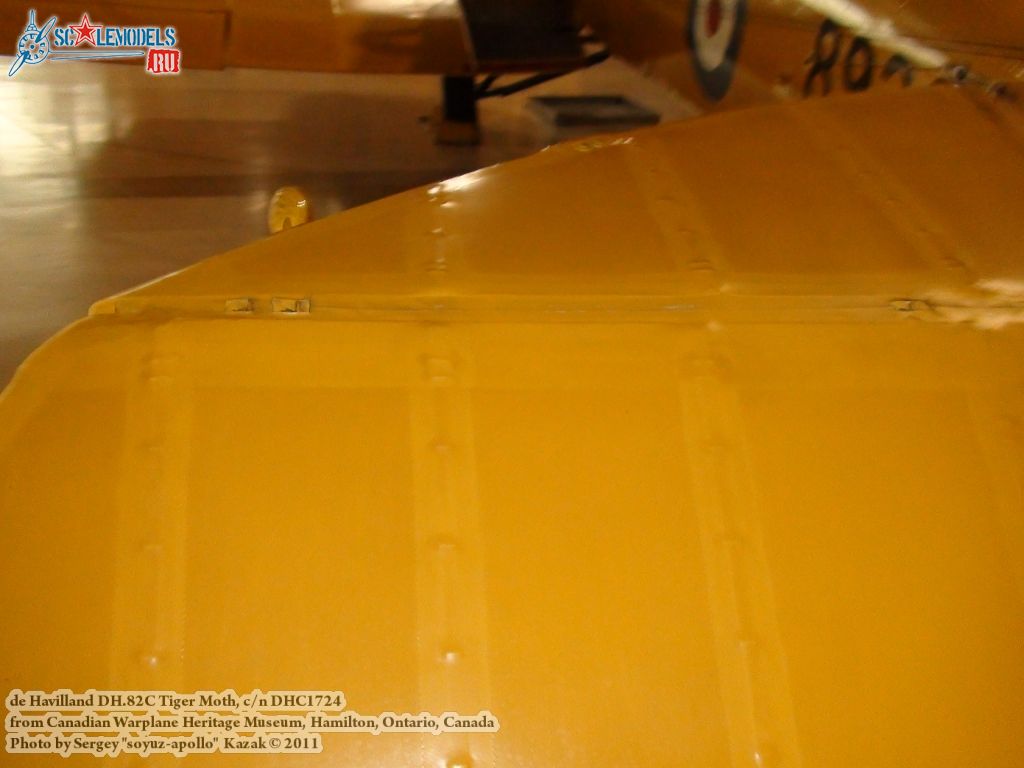 tiger_moth_0061.jpg