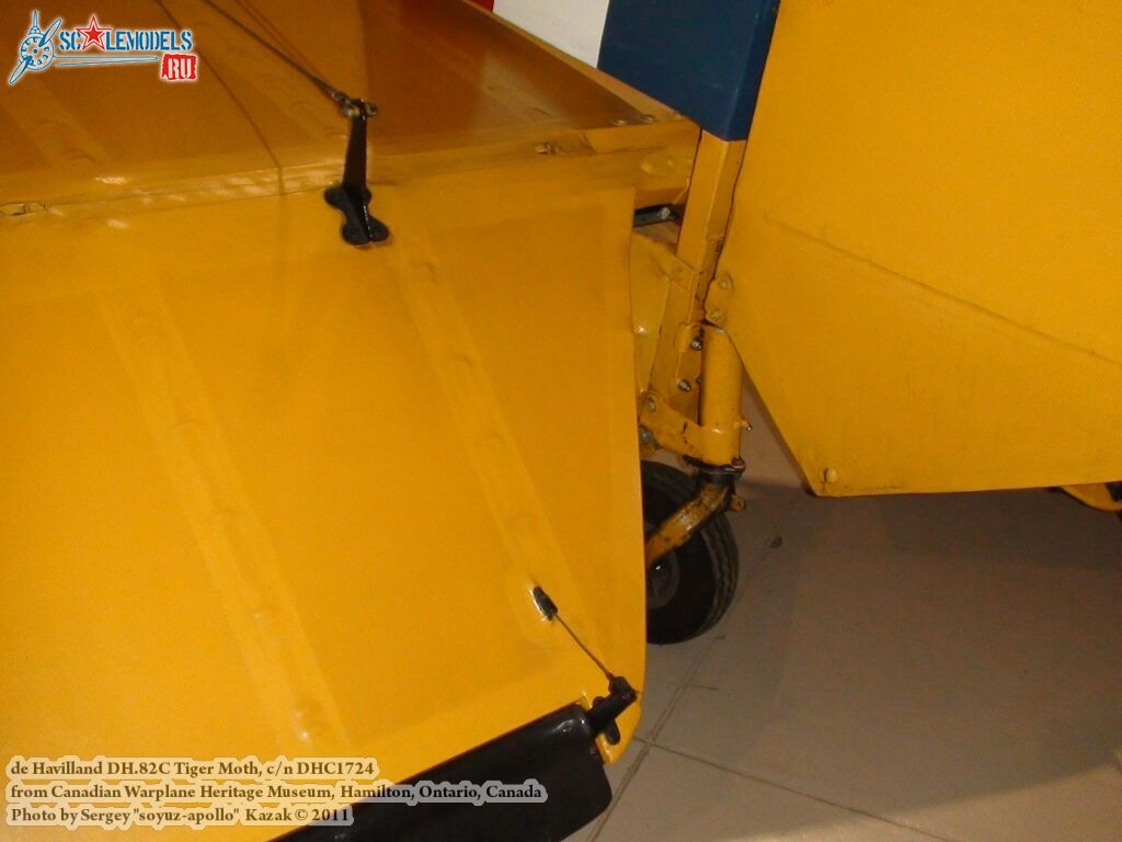 tiger_moth_0062.jpg