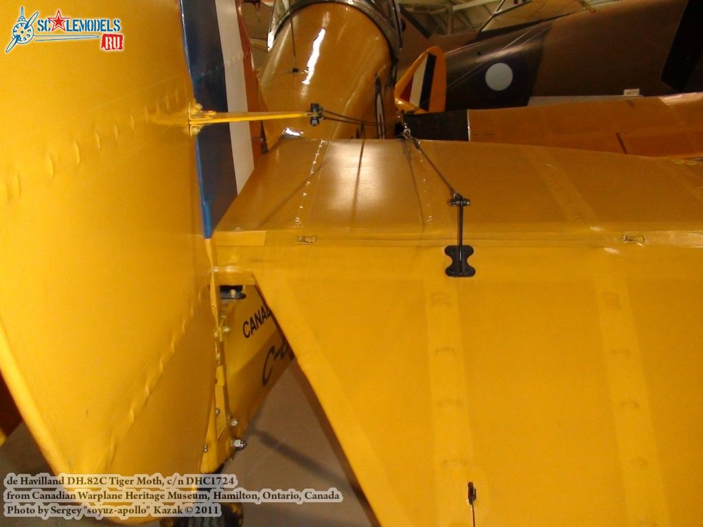 tiger_moth_0067.jpg