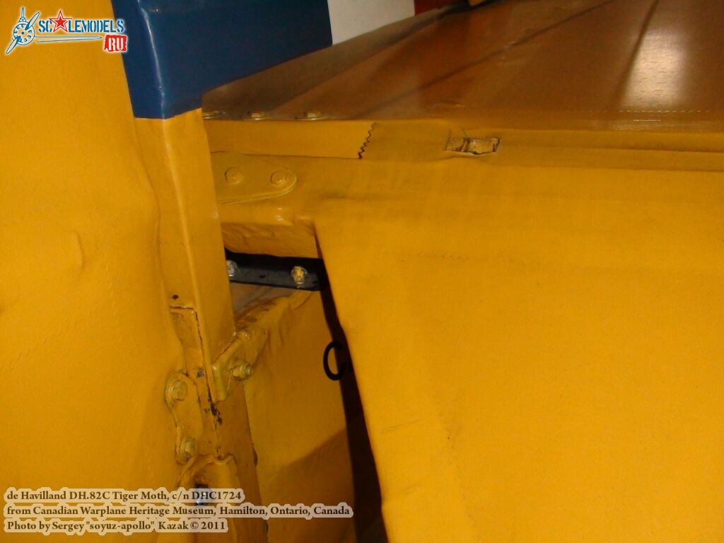 tiger_moth_0069.jpg