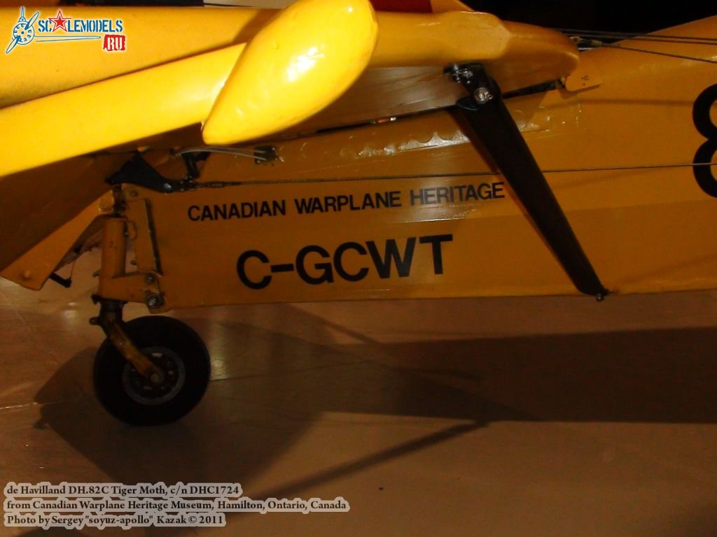 tiger_moth_0073.jpg