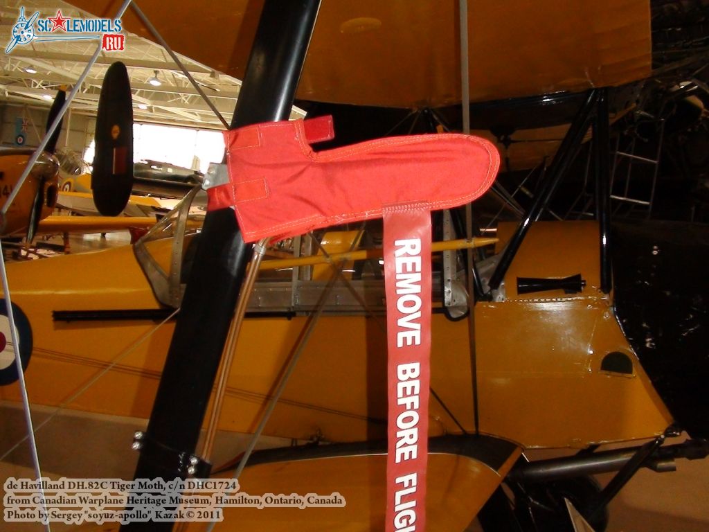 tiger_moth_0077.jpg