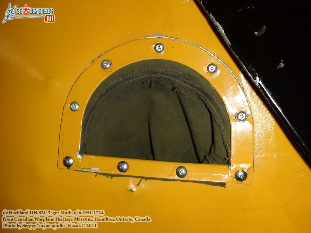 tiger_moth_0084.jpg