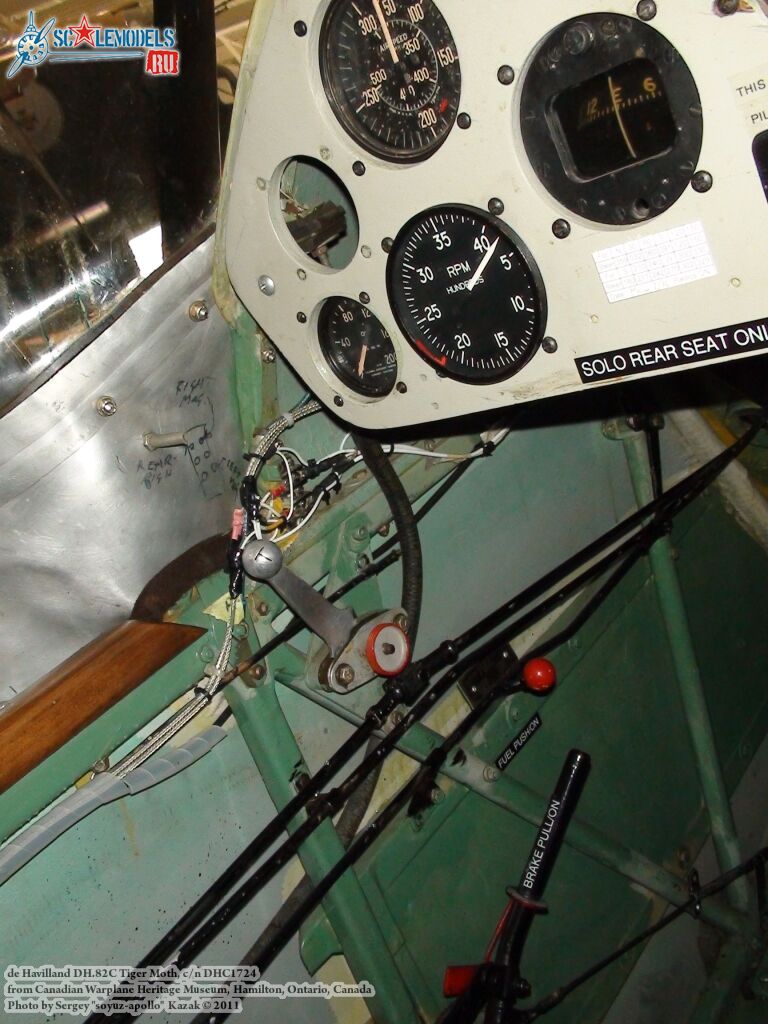 tiger_moth_0088.jpg