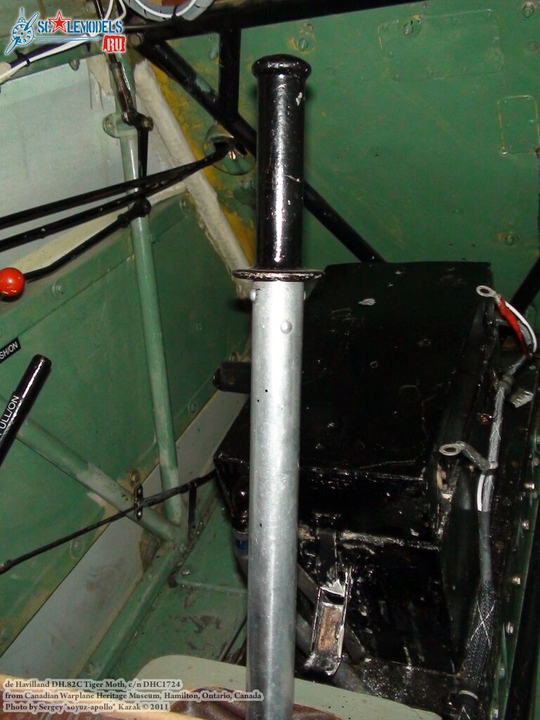 tiger_moth_0089.jpg