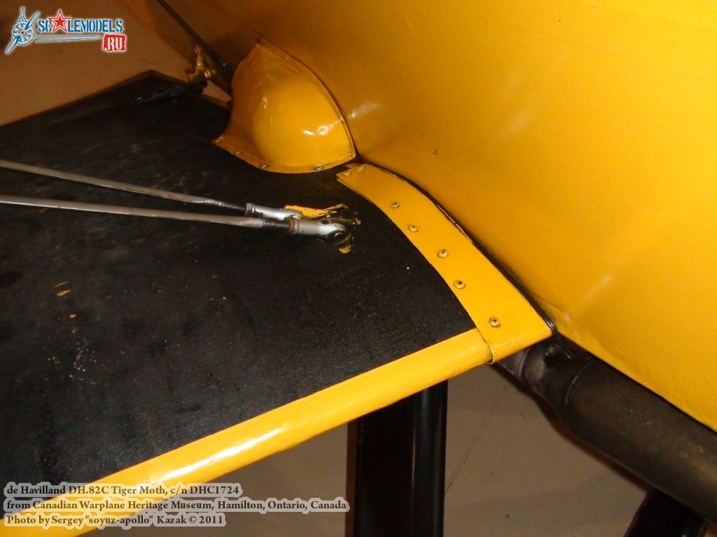 tiger_moth_0095.jpg